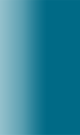 Lipitor Bottom Banner