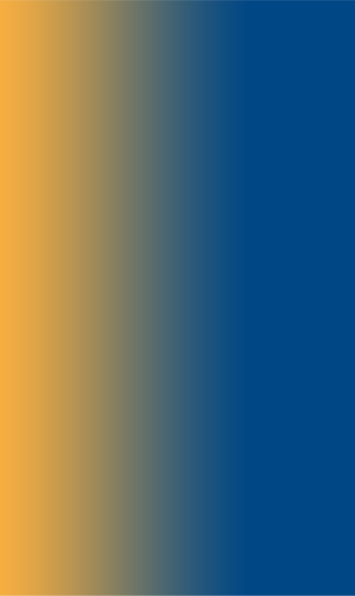 Norvasc Bottom Banner