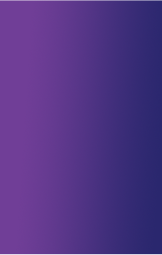 Viatris Original Bottom Banner